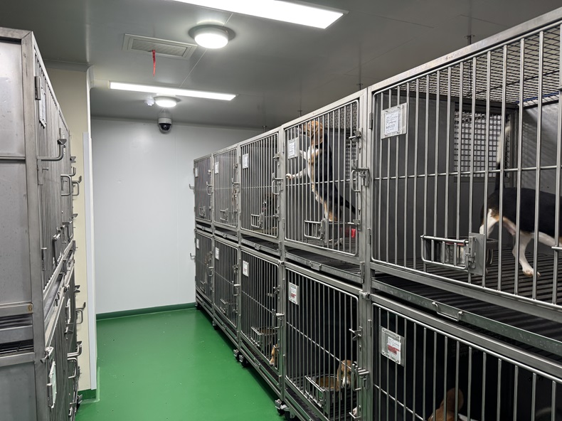 江西實驗室研究所視頻監(jiān)控系統(tǒng)